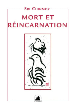 Mort et reincarnation 2 edition