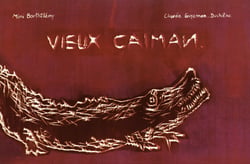Vieux caïman