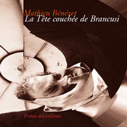 La tête couché de brancusi