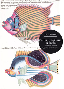 Poissons, écrevisses et crabes de diverses couleurs et figures extraordinaires...