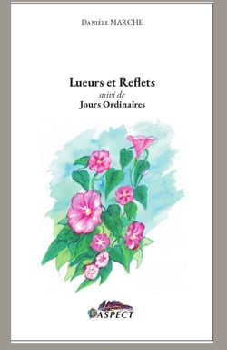 Lueurs et reflets - suivi de jours ordianires