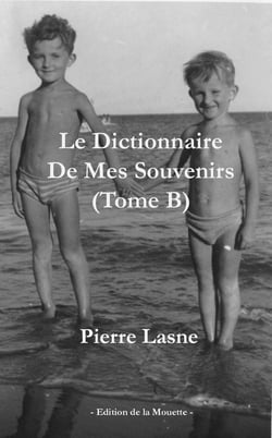 Dictionnaire de mes souvenirs - tome b