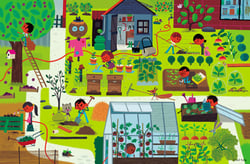 Au potager avec vincent mathy