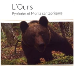 L'ours, pyrénées et monts cantabriques