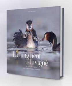 L'étang neuf de Juvigne