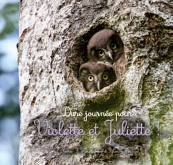 Dure journée pour Violette et Juliette 