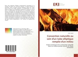 Convection naturelle au sein d'un tube elliptique remplie d'un milieu : Etude numerique de la convection naturelle dans un milieux poreux saturee de fluide newtonien