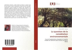 La question de la remediation environnementale : Cas de l'exploitation artisanale et A petite echelle du diamant dans l'Union du Fleuve Mano