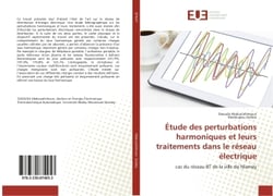 Etude des perturbations harmoniques et leurs traitements dans le reseau electrique : Cas du reseau BT de la ville de Niamey