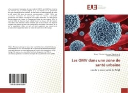 Les OMV dans une zone de sante urbaine : Cas de la zone sant de NDjili