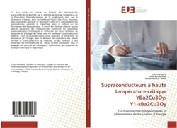 Supraconducteurs A haute temperature critique YBa2Cu3Oy/ Y1-xBa2Cu3Oy : Fluctuations thermodynamiques et phenomènes de dissipation d'energie