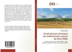Etude physico-chimique du vieillissement naturel de films PeBD : La photo-oxydation de films PEBD A usage agricole exposes en milieu naturel semi-aride