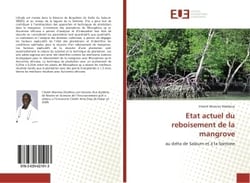 Etat actuel du reboisement de la mangrove : Au delta de Saloum et A la Somone