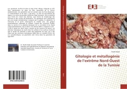 Gîtologie et metallogenie de l'extreme Nord-Ouest de la Tunisie