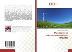 Management environnemental des PME/PMI