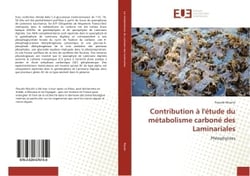 Contribution A l'etude du metabolisme carbone des Laminariales : Pheophycees
