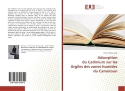 Adsorption du Cadmium sur les Argiles des zones humides du Cameroun
