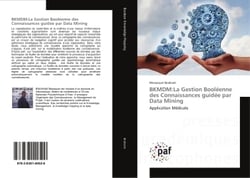 Bkmdm la gestion booleenne des connaissances guidee par data mining
