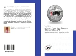 Mise en Place D'un systeme D'Information SAP : Cas pratique de mise en place de L'eRP SAP