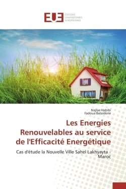Les energies renouvelables au service de l'efficacite energetique