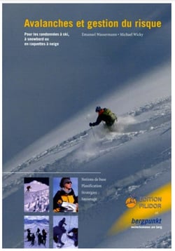 Avalanches et gestion du risque. pour les randonnees a ski, a snowboard ou
