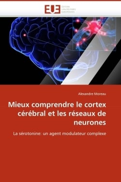 Mieux comprendre le cortex cerebral et les reseaux de neurones