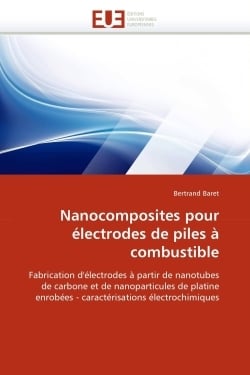 Nanocomposites pour electrodes de piles a combustible