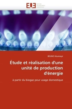Etude et realisation d'une unite de production d'energie