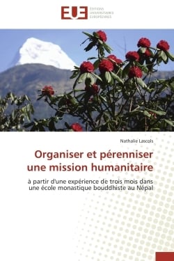 Organiser et perenniser une mission humanitaire - a partir d'une experience de trois mois dans une e