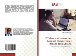 Efficience technique des banques commerciales dans la zone CEMAC : Une approche non paramétrique