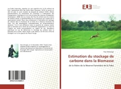 Estimation du stockage de carbone dans la Biomasse : de la litiEre de la Réserve ForestiEre de la Yoko