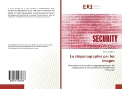 La stéganographie par les images : Réalisation d'un outil de stéganographie par les images pour sécurisation du transfert des messages
