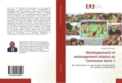 Développement et aménagement urbains au Cameroun : de l'urbanisation au sens propre à l'urbanisation des systEmes d'inform