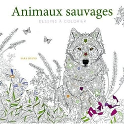 Animaux sauvages - Dessins à colorier