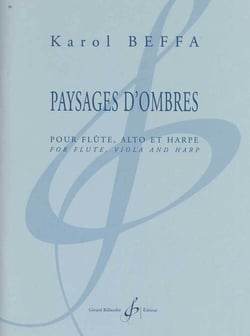 Paysages d'ombres