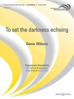 To set the darkness echoing -partition+parties separees