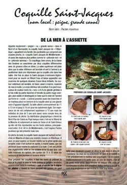 Cuisine de pecheurs, 101 recettes de poissons et fruits de mer