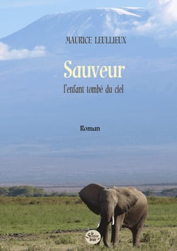 Sauveur, l'enfant tombe du ciel