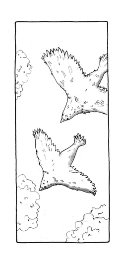 Li - t05 - planez, oiseaux !