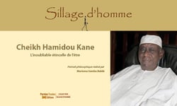 Cheikh hamidou kane (l inoubliable etincelle de l etre)