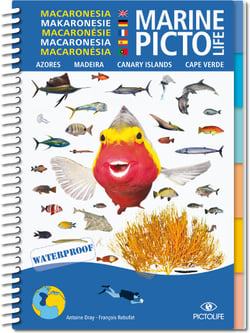 Marine Pictolife : Macaronésie