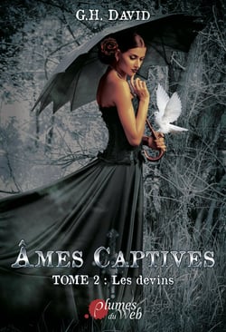 Ames captives - t02 - les devins