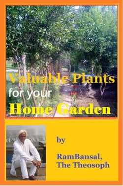 Valuable Plants for Your Home Garden (37 Plants Highly Commended by Ayurveda for Human Health) - Healthy Lifestyle, #2