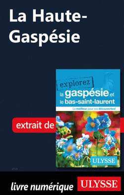 La Haute-Gaspésie