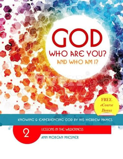 God Who Are You? And Who Am I? Knowing and Experiencing God by His Hebrew Names: Lessons in the Wilderness - God Who Are You?, #2