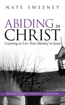 Abiding in Christ - The Abiding Series