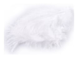 10 plumes de 8 cm - Blanc - Créalia