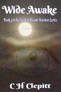Wide Awake: Book 3 In the Guild of Dream Warriors Series - The Guild of Dream Warriors, #3