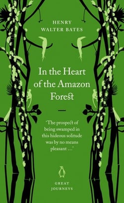 In the Heart of the Amazon Forest