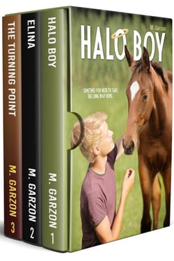 Blaze of Glory Companion Books Box Set - Blaze of Glory Companion Books